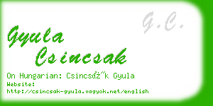 gyula csincsak business card